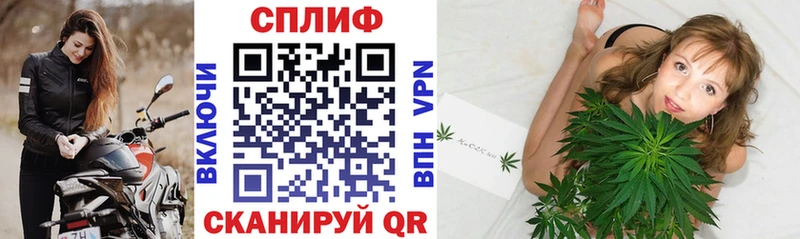 Продажа наркотиков Велиж Cocaine  OMG зеркало  Марихуана  НБОМе 