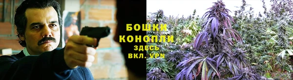 дмт Балахна